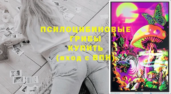 соль курить ск Михайловка