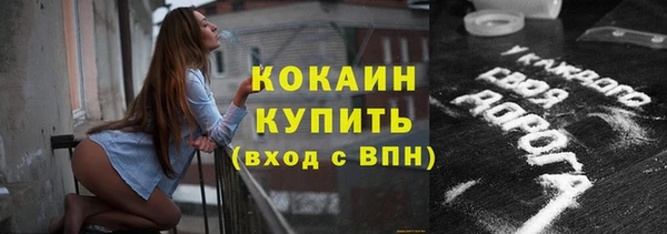 соль ск Михайлов