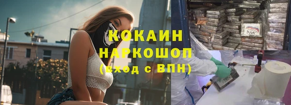 соль ск Михайлов