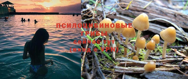соль курить ск Михайловка