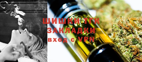 соль ск Михайлов