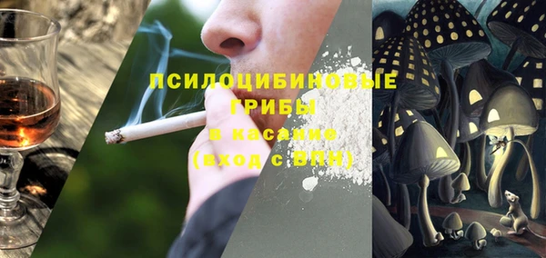 соль ск Михайлов