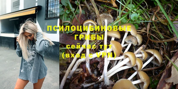 соль ск Михайлов