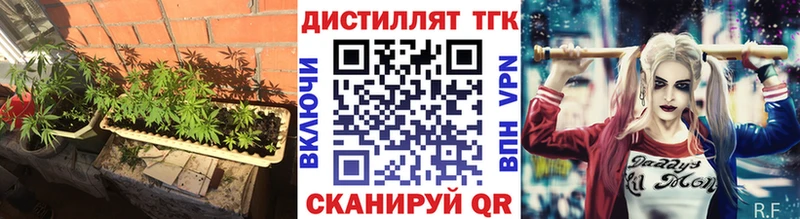 Купить где  Озёры  ТГК концентрат 