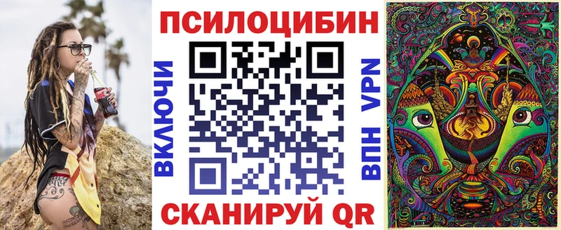 Купить закладки  Озёры  Псилоцибиновые грибы прущие грибы 